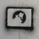 SF Mission Mystery Man