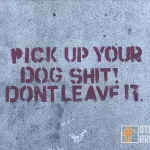 SF Mission Pick Up Dog Shit