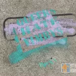Gay Shame SF Mission Queers Hate YIMBYs