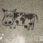 SF Mission global cow