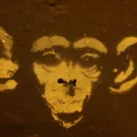 SF Mission monkey