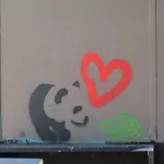 SF Mission panda turtle love