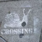 SF Mission Snail Crossing