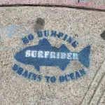SF Mission Surrider Drains to Ocean