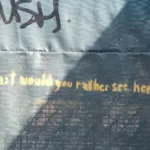 SF Mission DSLR Would you rather see