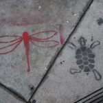SF Mission Dragonfly Turtle