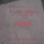 SF Mission Animals Die
