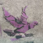 SF Mission Dove with TNT