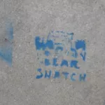 SF Mission Bear Snatch