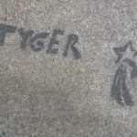 SF Mission CELLspace TYGER