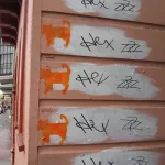 SF Mission Cats