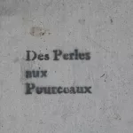 SF Mission Des Perles aux Pourceaux