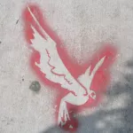 SF Mission Dove