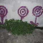 SF Mission Flower Targets