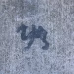 SF Mission camel