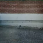 SF Mission tiny runner