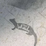 SF Mission WZL
