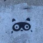 SF Mission Dolores Park raccoon