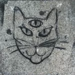 SF Mission three-eyed cat