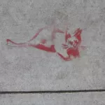 SF Mission Kitty