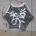 SF Mission Web