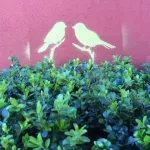 SF Mission birds on twigs