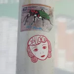 SF Valencia Nat Breath bug sticker