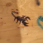 SF Valencia Scorpion