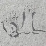 SF Valencia St. rats 01