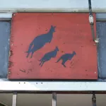 SF Valencia St. Kangaroo