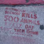 SF Valencia St. Science Kills Animals