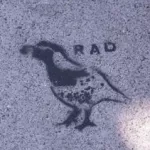 SF Valencia St. RAD