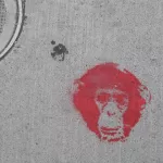 SF Valencia St. Monkey Head