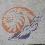 SF Valencia St. Snail