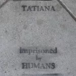 SF Valencia St. Tatiana
