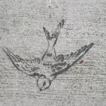 SF Western Addition flying bird