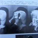 In Media Weimar Era Berlin BDSM numbers