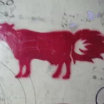AR UY Cow Fart