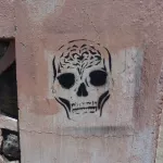 CR San Jose skull
