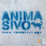 MX CDMX Roma Anima Sivo advert
