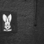 MX Chihuahua rabbit RCW ph J Rojo for BSA