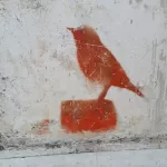 MX Merida bird