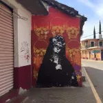 MX Zaachila skulls