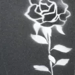 LA DRL rose