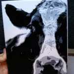 Jimi Nepper cow