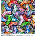 Jonathan Fischer WA Seattle koi multi