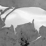 Peat Wollaeger St. Louis Myrna Cutout 02