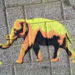 Peat Wollaeger St. Louis elephant