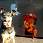 Peat Wollaeger St. Louis Sammy on wall