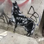 Praxis Not Your Fur